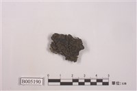 藏品(銹紅鱗葉地衣)的圖片